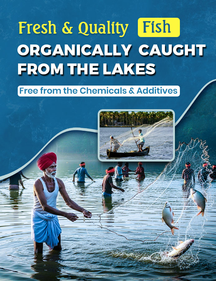 Hygienically Packed Seafood - Mobile Banner