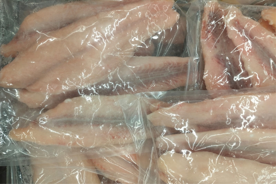 Basa - Indian - Image 3