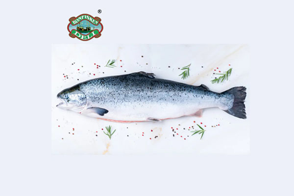 plain-salmon